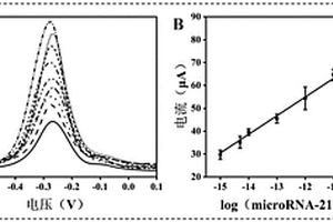 基于Ti3C2基納米復(fù)合材料的microRNA電化學(xué)生物傳感器及其制備方法與應(yīng)用