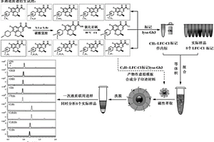 檢測(cè)神經(jīng)鞘氨醇己三糖苷的多通道質(zhì)譜衍生試劑及其制備方法與應(yīng)用