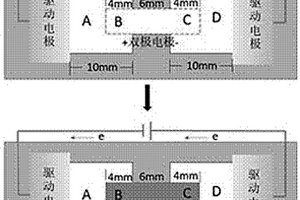 甲胎蛋白雙極電極紙芯片電致化學(xué)發(fā)光傳感器的構(gòu)建