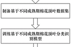 基于棉花頂葉成熟期分類識別的化學打頂方法