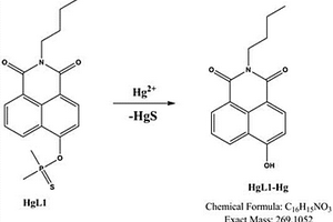 檢測汞離子的反應(yīng)型萘酰亞胺熒光探針及其制備方法與應(yīng)用