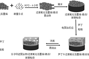 新型分子印跡聚合物蘆丁電化學(xué)傳感器的制備方法