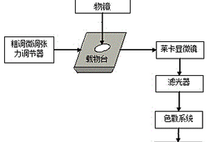 轉(zhuǎn)基因水稻種子及其親本的快速檢測(cè)方法及其專(zhuān)用裝置