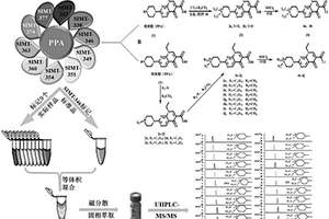 檢測(cè)羥基多環(huán)芳烴的多通道質(zhì)譜衍生試劑及其制備方法與應(yīng)用