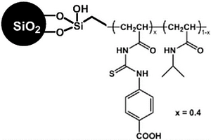 富集檢測磷酸化蛋白的方法