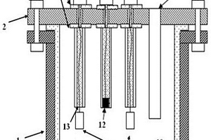 礦物高溫浸出電化學(xué)實(shí)驗(yàn)裝置