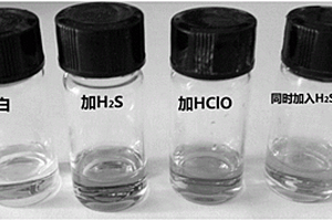 同時或分別檢測細胞溶酶體內(nèi)硫化氫和次氯酸的熒光探針及其制備方法和應(yīng)用