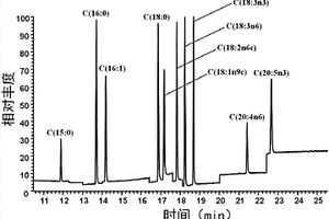 氣相色譜、質(zhì)譜聯(lián)用技術(shù)檢測線蟲中脂肪酸含量的方法