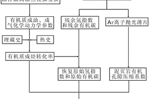 泥頁(yè)巖有機(jī)孔隙度檢測(cè)方法