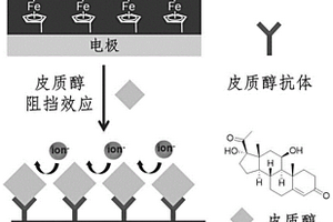 免疫電化學(xué)傳感材料及其制備方法