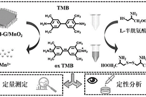 基于MnO2納米功能材料定量和定性檢測(cè)L-半胱氨酸的方法