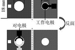 檢測唾液中EGFR突變的紙芯片傳感器的構(gòu)建