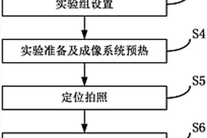 通過(guò)超弱生物光子成像系統(tǒng)檢測(cè)化妝品成分致敏性的方法