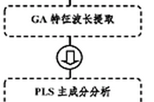 假高粱及其近似物種的快速檢測(cè)方法