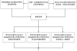 基于BP人工神經(jīng)網(wǎng)絡(luò)的近紅外光譜糖度檢測方法及系統(tǒng)