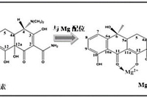 基于高活性MgO對(duì)四環(huán)素類抗生素可視化檢測的方法