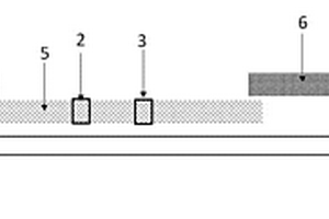 安乃近代謝物檢測用半抗原及其快速檢驗(yàn)裝置及其制備方法