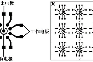 納米金修飾的多通道ITO陣列電極芯片及其在電化學(xué)免疫傳感器中的應(yīng)用