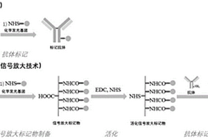 用于檢測神經(jīng)絲輕鏈的試劑盒及其方法與應(yīng)用