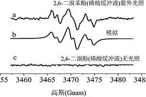 在線快速檢測環(huán)境中活性溴代苯氧自由基的方法