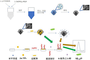 β-淀粉樣蛋白寡聚體檢測方法