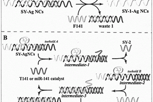 基于熵驅(qū)動(dòng)放大系統(tǒng)為模板的銀納米簇的多重microRNA檢測(cè)方法