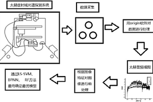 區(qū)分轉(zhuǎn)基因玉米和非轉(zhuǎn)基因玉米的檢測方法