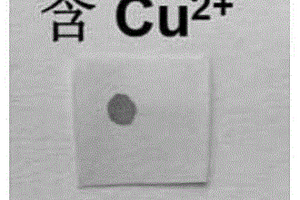 高選擇性檢測(cè)銅（II）離子的試紙及其制備方法