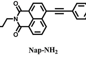 檢測溶酶體極性變化的熒光探針及其制備方法和應用