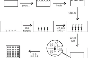 微孔板、基于微孔板的高靈敏度免疫熒光檢測方法