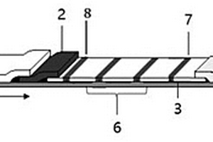 胎兒纖維結(jié)合蛋白和胰島素生長因子結(jié)合蛋白-1的量子點熒光檢測方法及應(yīng)用