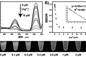 基于稀土/核苷酸超分子組裝體的汞離子檢測(cè)方法