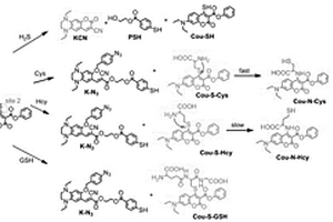 定量區(qū)分檢測(cè)Cys、Hcy、GSH和H<Sub>2</Sub>S的熒光探針及其制備方法和應(yīng)用