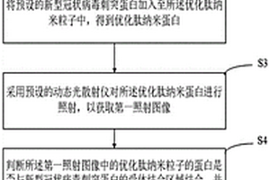 采用金納米顆粒測(cè)試新冠病毒的檢測(cè)方法