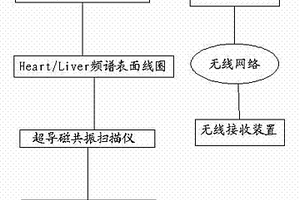 肝細(xì)胞癌檢測(cè)診斷系統(tǒng)