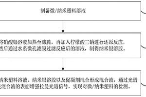 微/納米塑料的表面增強(qiáng)拉曼光譜檢測(cè)方法