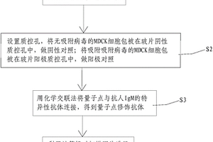 基于量子點(diǎn)間接免疫熒光的病原體檢測(cè)方法