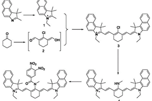 用于檢測(cè)谷胱甘肽巰基轉(zhuǎn)移酶熒光分子探針的制備方法和應(yīng)用