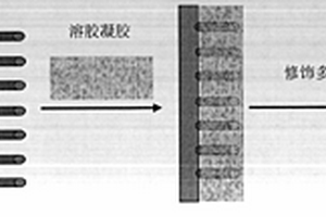 用于減肥保健品中違禁藥物檢測的納米增效分子印跡膜電極