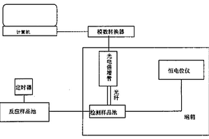 多元基因探針檢測(cè)轉(zhuǎn)基因的方法及其裝置