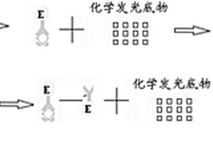 檢測試劑及其制備方法和應(yīng)用