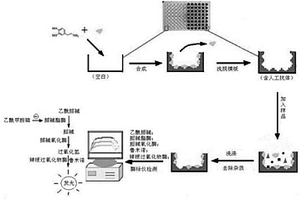 檢測(cè)乙酰甲胺磷的方法和試劑盒