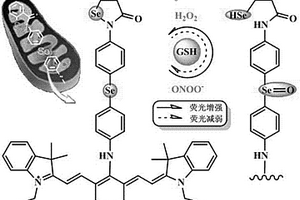 同時檢測過氧化氫和過氧化亞硝基陰離子的近紅外熒光探針及其合成方法和應(yīng)用