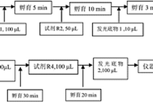 尿微量白蛋白/尿肌酐檢測(cè)試劑盒