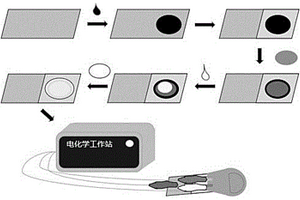 基于平板電極快速檢測植物體內(nèi)玉米素的方法