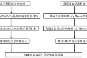 諾如病毒的檢測(cè)方法