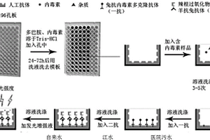 痕量內(nèi)毒素的快速檢測方法和試劑盒