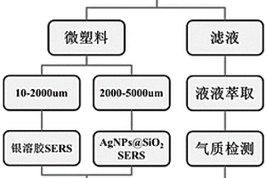 基于微塑料的水體中持久性有機污染物的SERS檢測方法