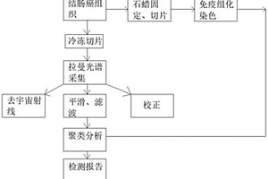 基于拉曼光譜的結(jié)直腸癌錯配修復(fù)蛋白表達的檢測方法