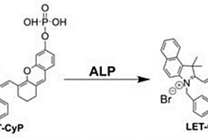 用于堿性磷酸酶檢測的分子探針及制備方法與應(yīng)用